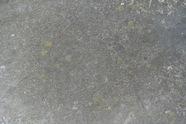 Cost of Slab Staining Service in Fresno